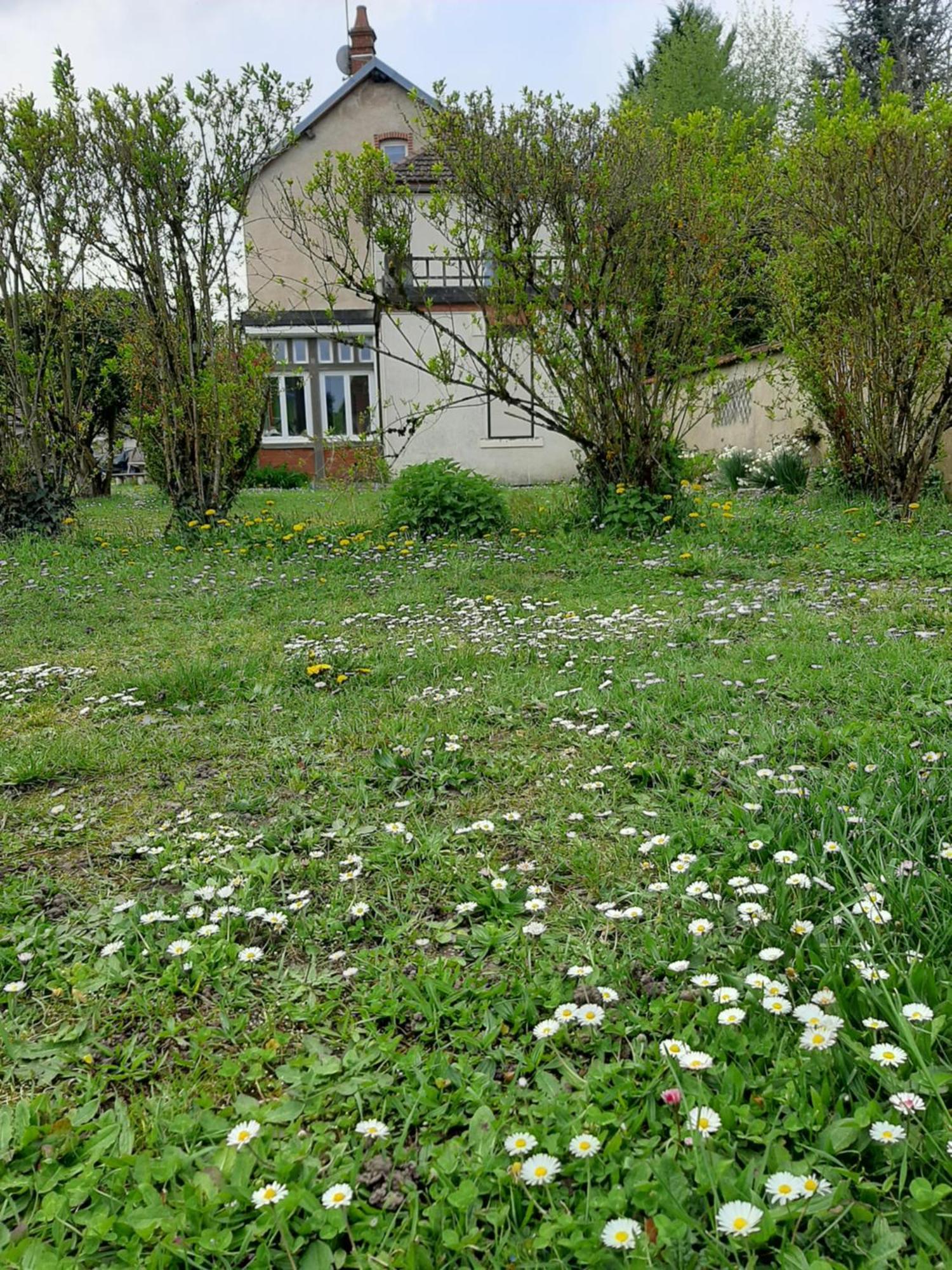 Hotel La Coutrotte Becquine Heuilley-sur-Saone Exterior foto